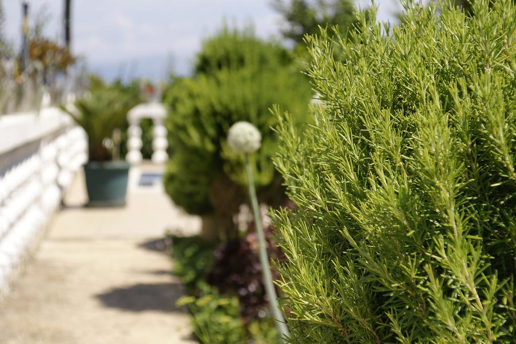 Nečujam Apartments Solta מראה חיצוני תמונה